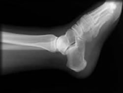 お風呂はこんな感じ・・