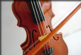 右脳は感性の脳