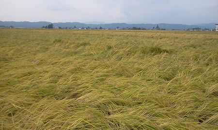 束松峠（会津坂下町）
