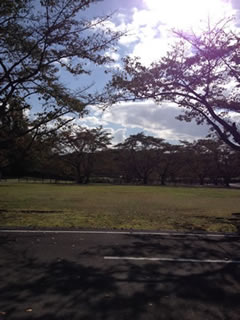 角田宇宙センター