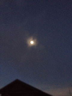 夜明け前の月