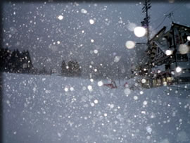 1月の雪の朝に・・