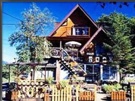 僕の愛した「ＯＬＤ-ROCK」