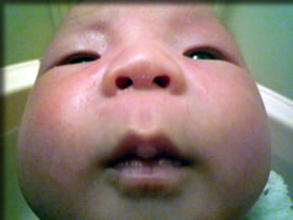 ワシが社長である！