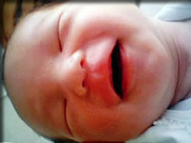 ワシが社長である！