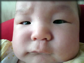 はなたれひびたん