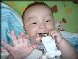 なんでもなめる