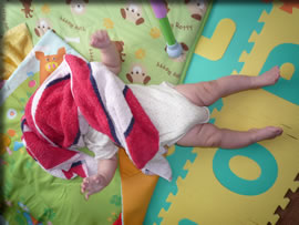 いないいない・・・