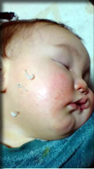 ひびさんwithしらす。