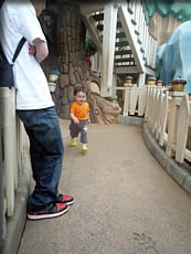 ツリーハウスで・・