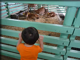 おそるおそる・・