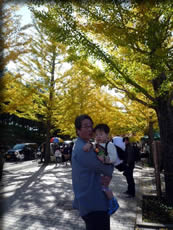 ダジィと銀杏並木