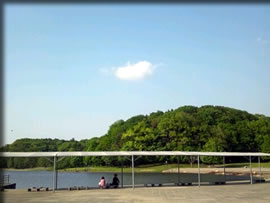 21世紀の森と広場