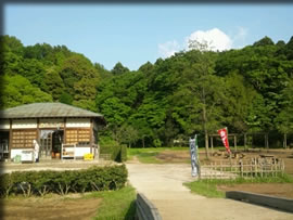 21世紀の森と広場