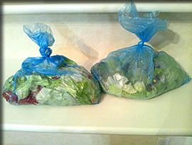 野菜を食べつくす