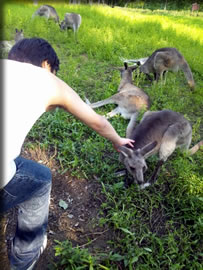 こども自然動物公園