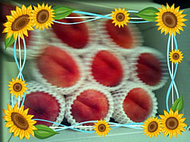 お土産は福島名物☆