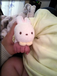 うさちゃんのオモチャ