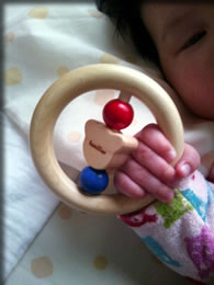 お気に入りのオモチャ