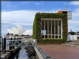 Greehouse Sydney cafe