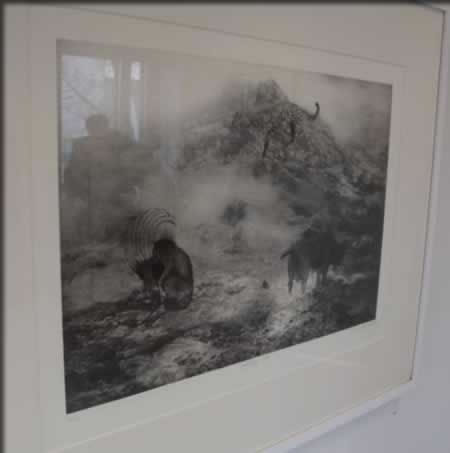 Outi Heiskanenさんの作品