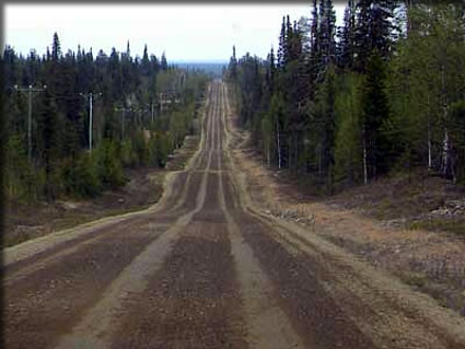 森ばかりの風景