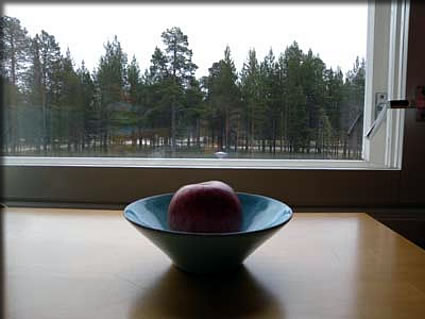 ホテルの窓辺に置いた誕生祝い