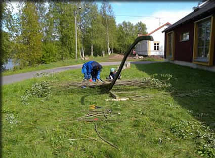 構造体に柳を差し込む