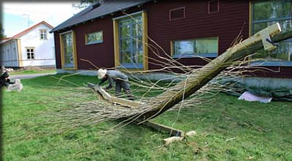 “背骨”への取り付け