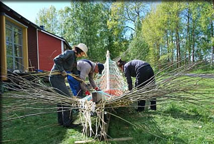 柳の織り込み作業