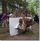 ※クリックで拡大!