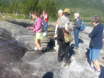 KUNSUT I NATURE 2013