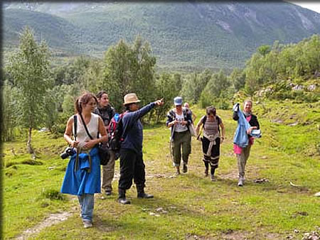 山の中腹を探索・・