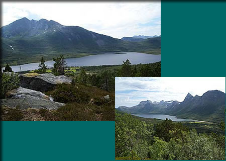 野外展覧会の現地