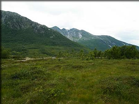 山に囲まれた草原を発見!