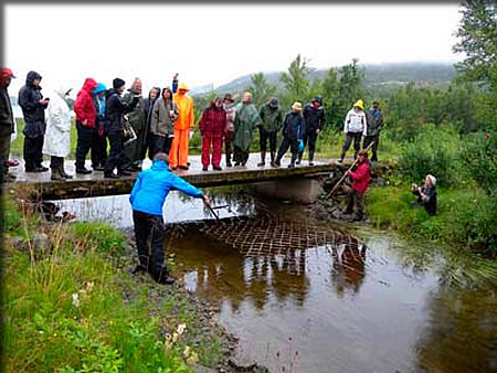 Itonje Soimer Guttormsen