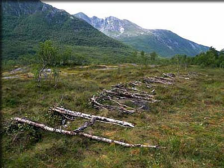 完成作品「From the Ruins」「廃墟から」