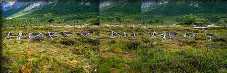 完成作品「From the Ruins」「廃墟から」