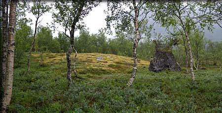 動物の骨でつくった楽器を奏でるエリン