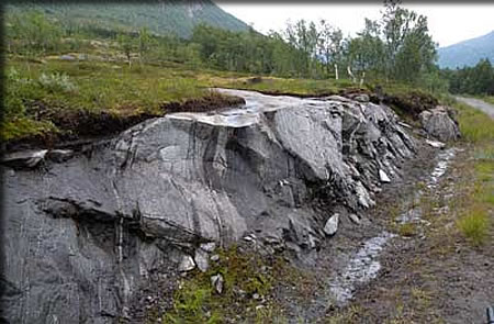 Mette Camilla Skadberg [Intervention]