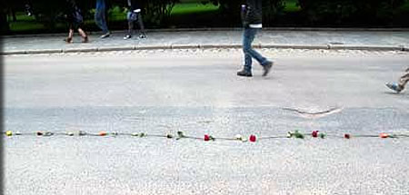 道路に置かれた花のライン