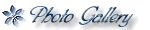 Photo Galleryへ