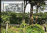 ステイしたパプリ