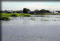 雨季のバングラデシュ
