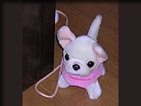 おさんぽチワワちゃん