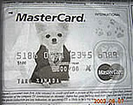 クーちゃんのクレジットカード