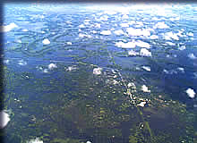 島と化した河川合流地点