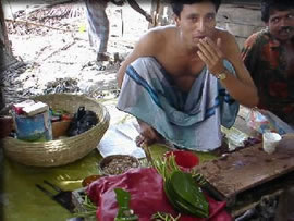 売り物は葉っぱ？