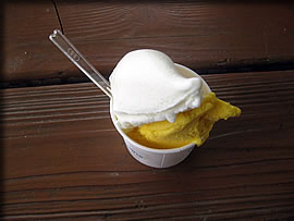 �l�G�̗��A�C�X