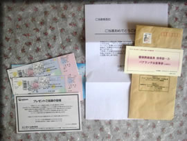 �f�B�Y�j�[���C�u�Ɖ���